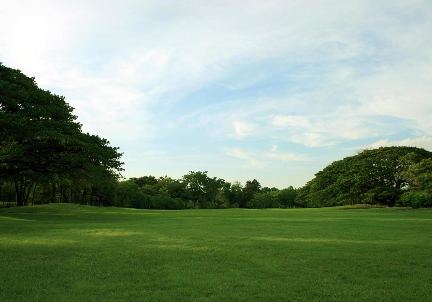 Lush green lawn photo