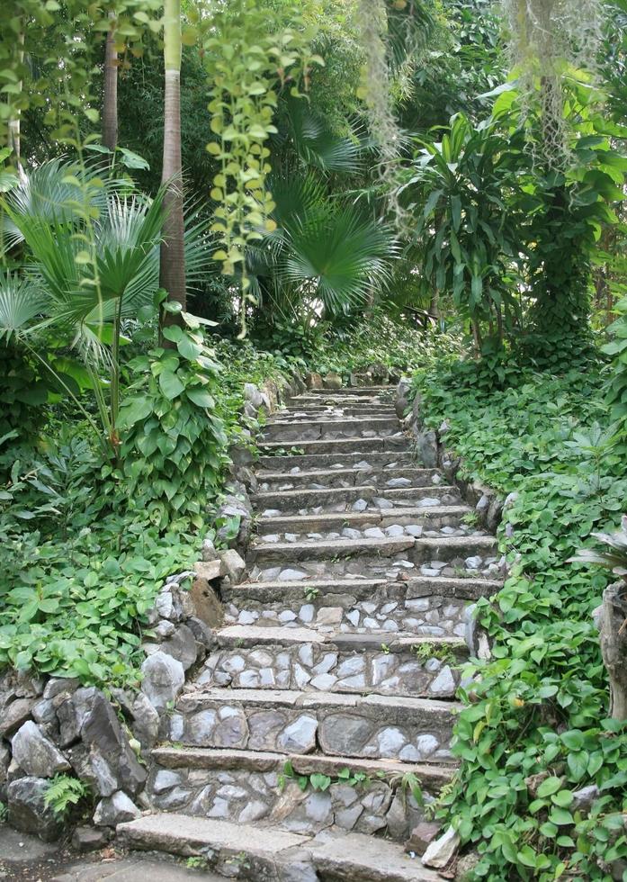 Escaleras de piedra natural en el jardín. foto