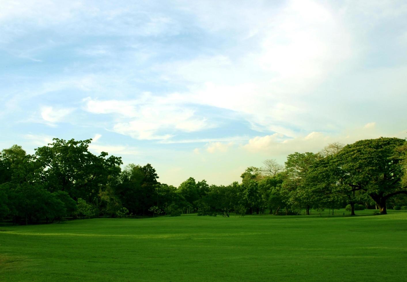 Lush green lawn at sunset photo