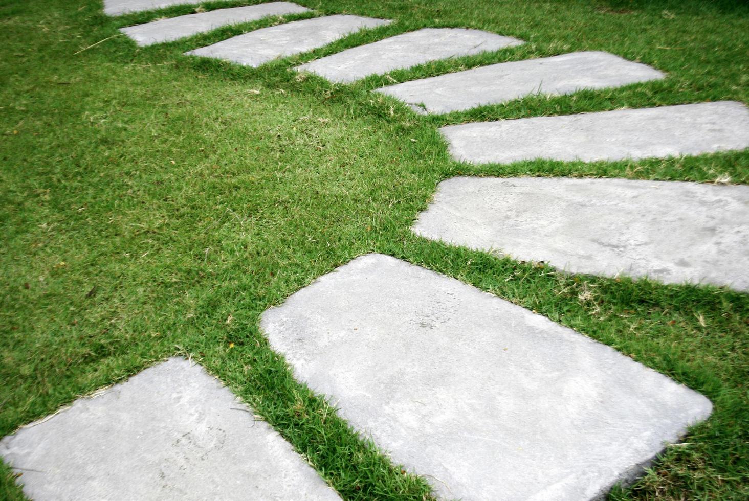 Stone walkway in grass photo