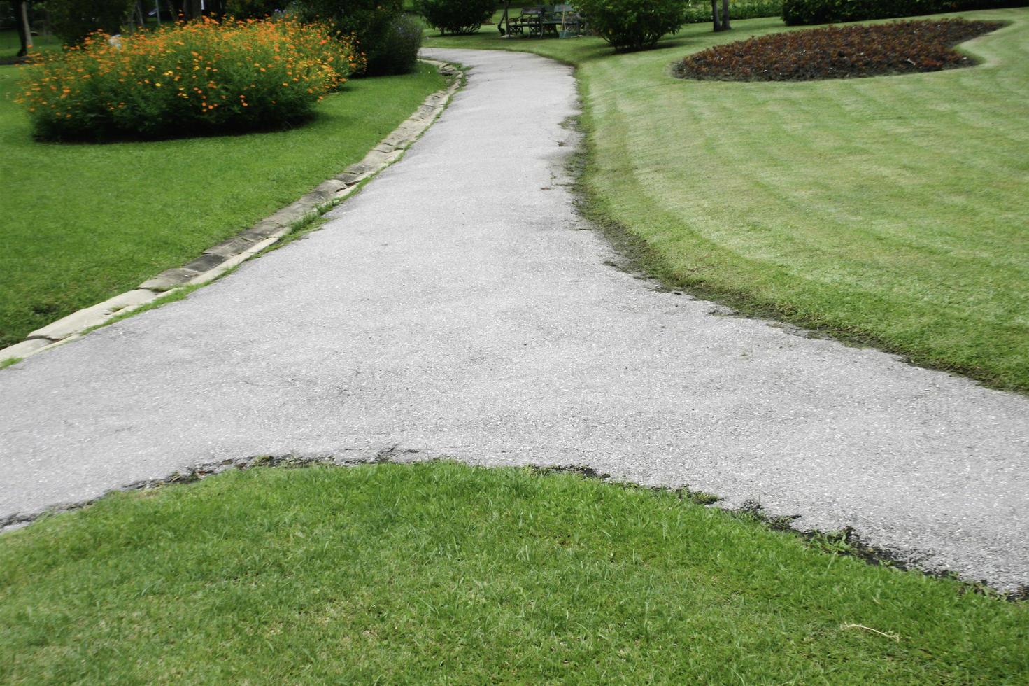 Pasarela de hormigón en el jardín foto