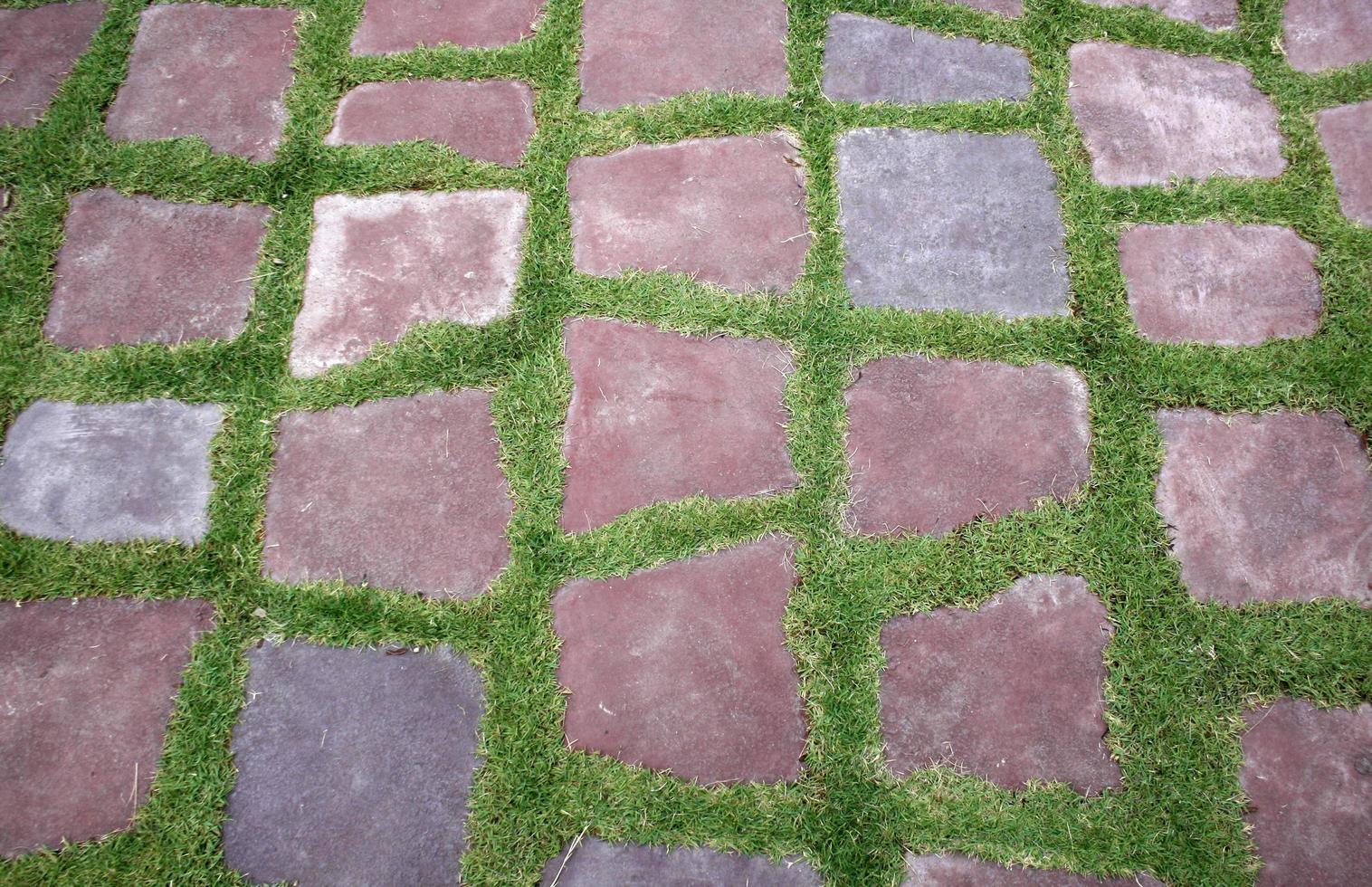 Stepping stones in grass photo