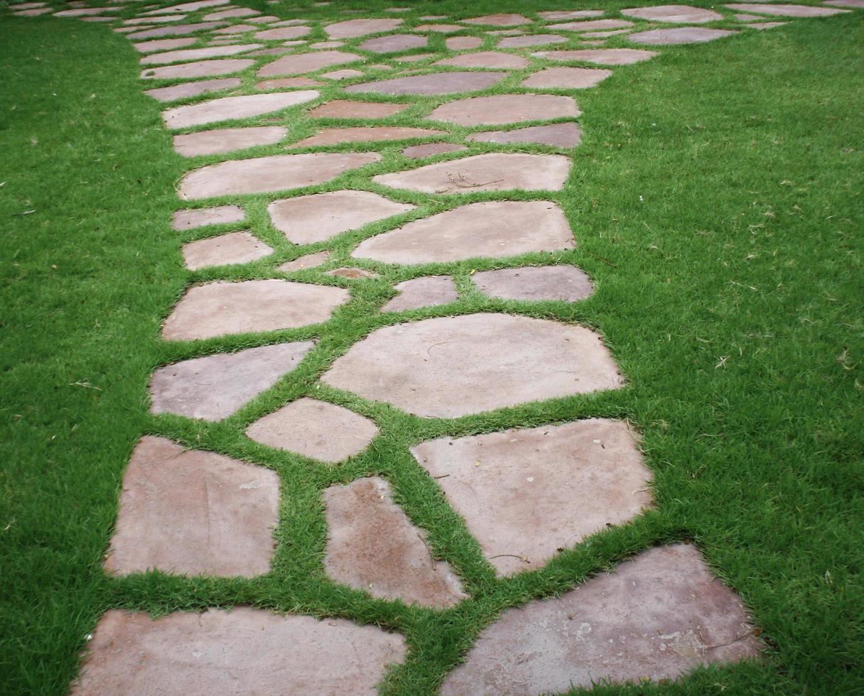 Walking stones in grass photo