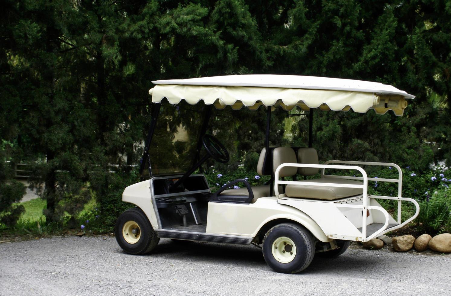 White golf cart photo