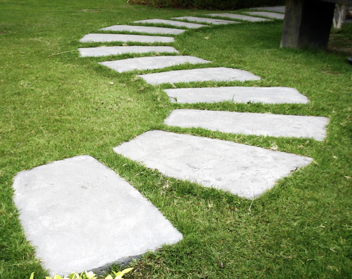 Stepping Stones en el jardín foto