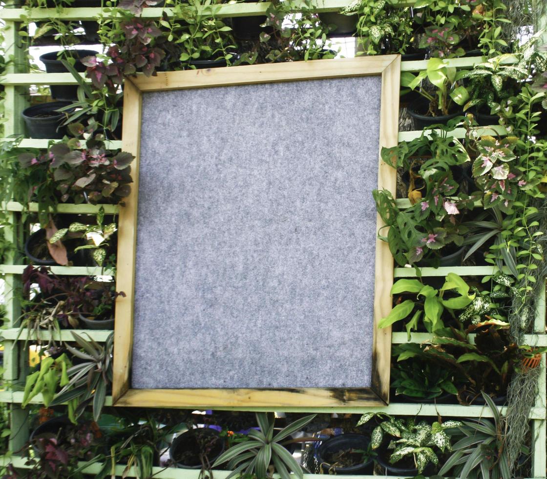 Sign surrounded by plants photo