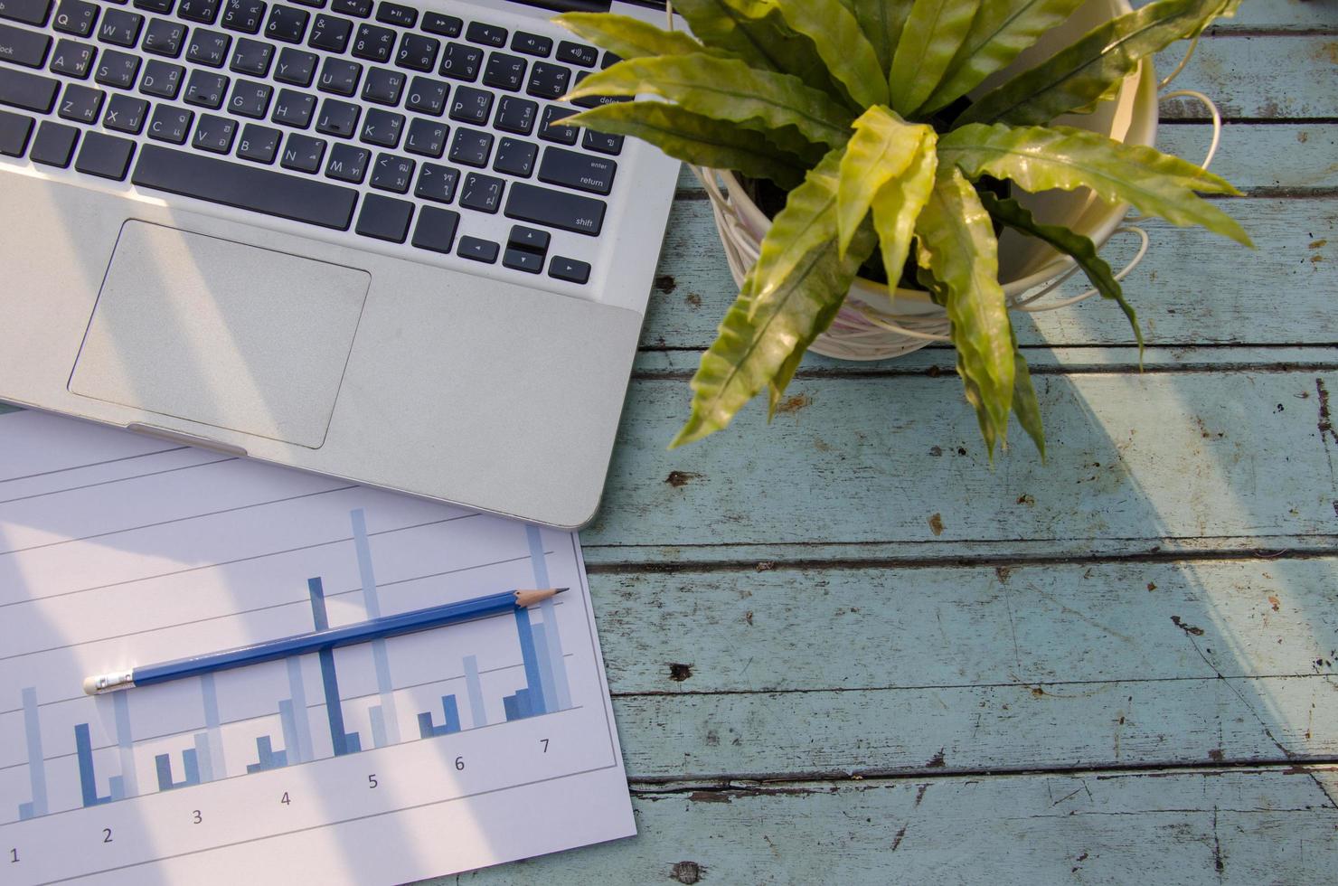 Laptop and house plant photo