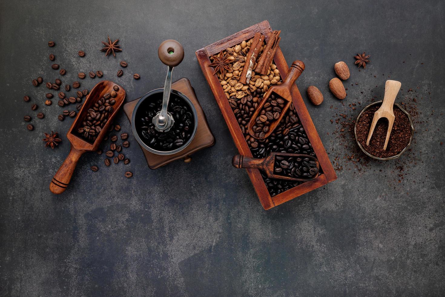 Roasted coffee beans with scoop photo