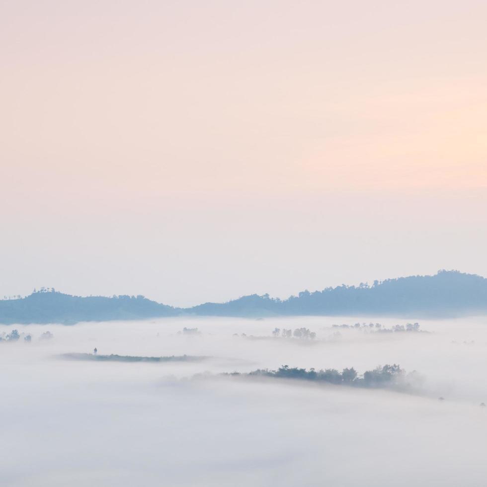 montañas cubiertas de niebla foto