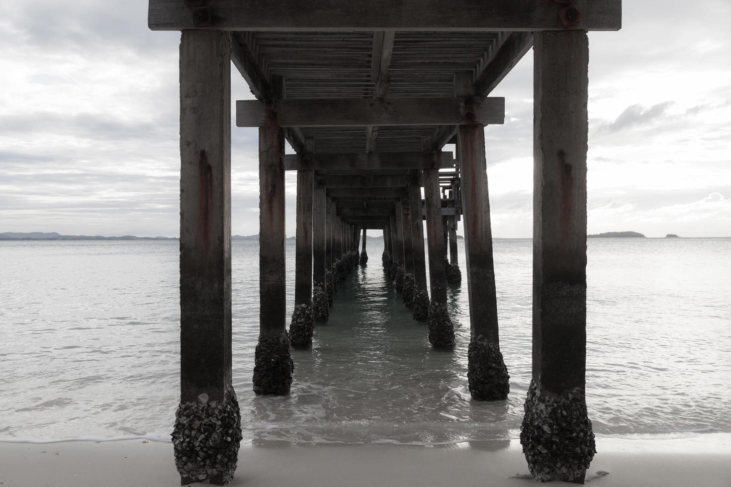 Under the wooden pier photo