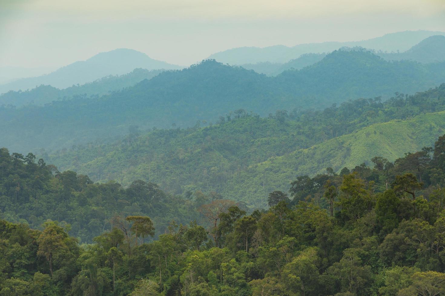 montañas y bosques por la mañana foto