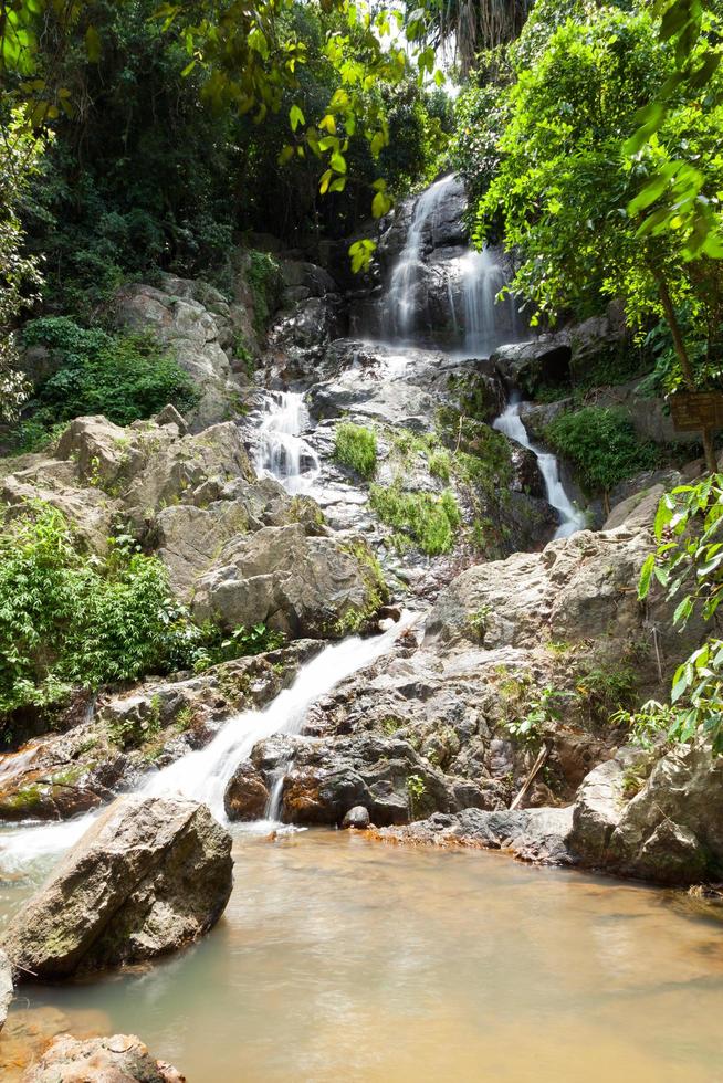 Small stream in the forest photo