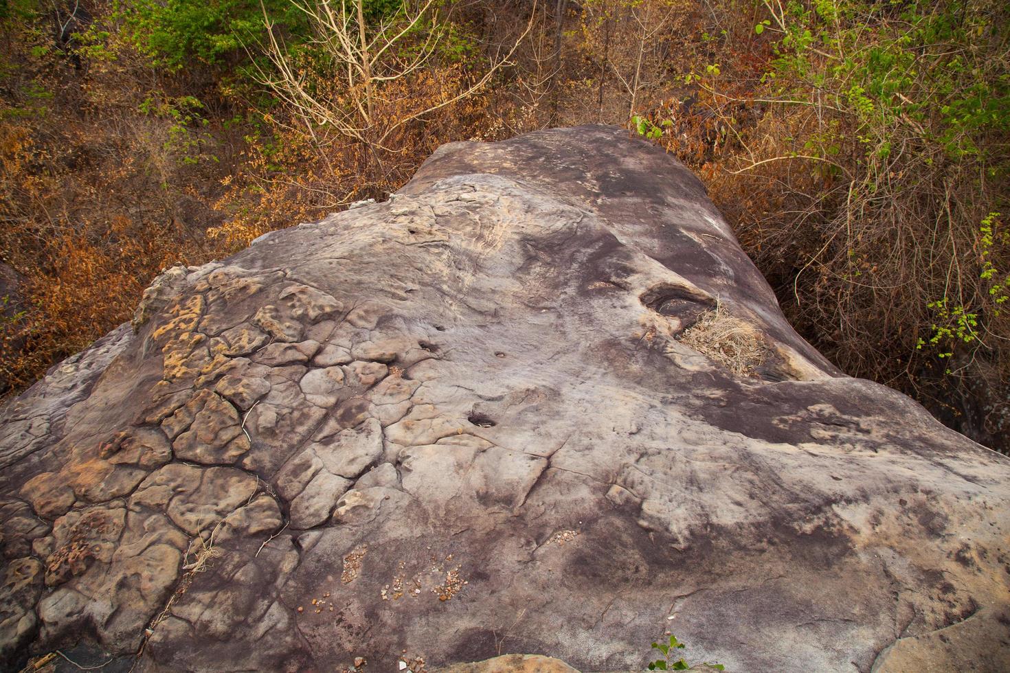 Viewpoint on a cliff photo