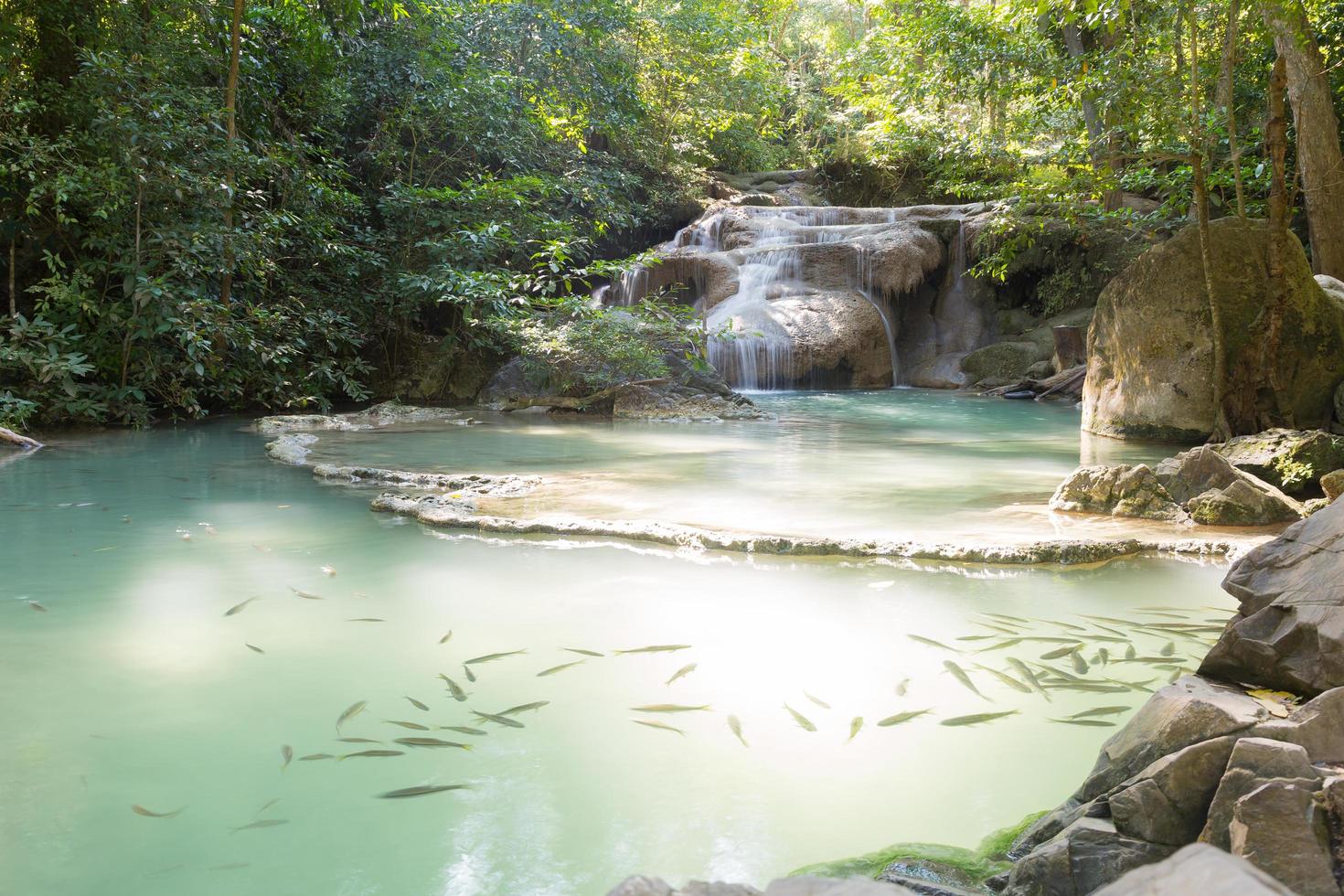 Small waterfall in the forest photo