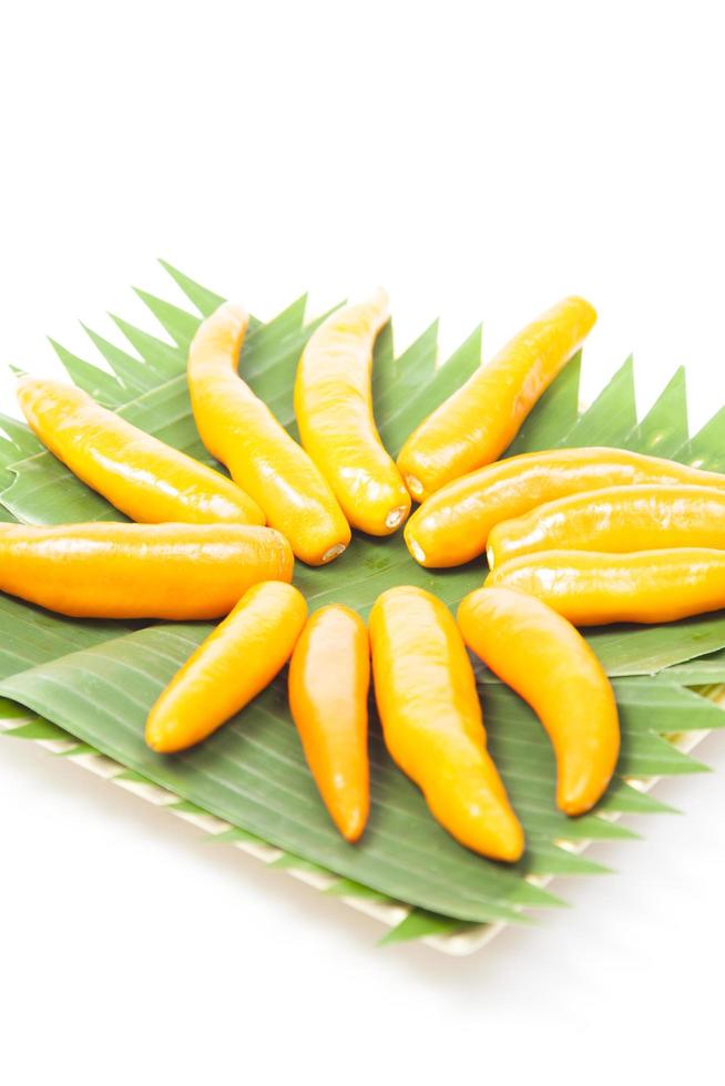 Yellow sweet peppers on a plate photo