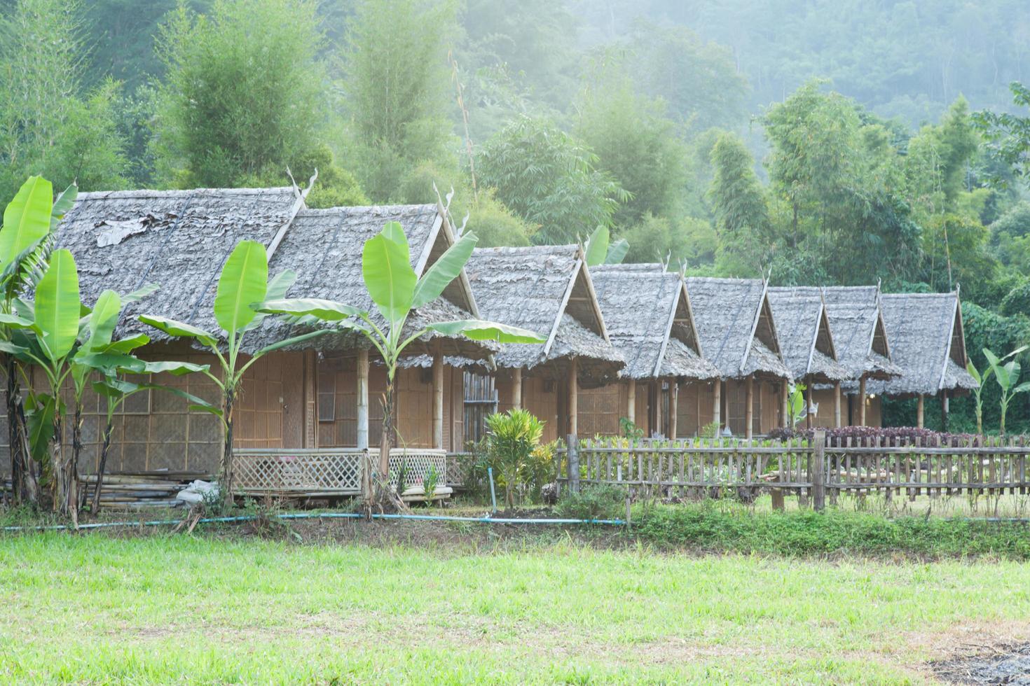 cabañas en el bosque en tailandia foto