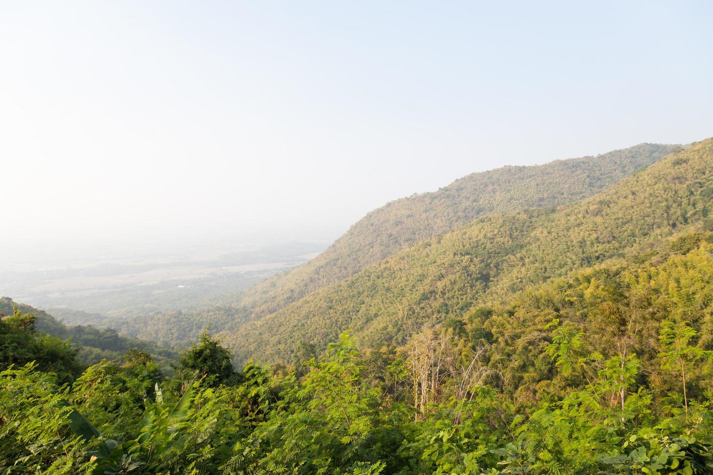 Mountains and forests photo