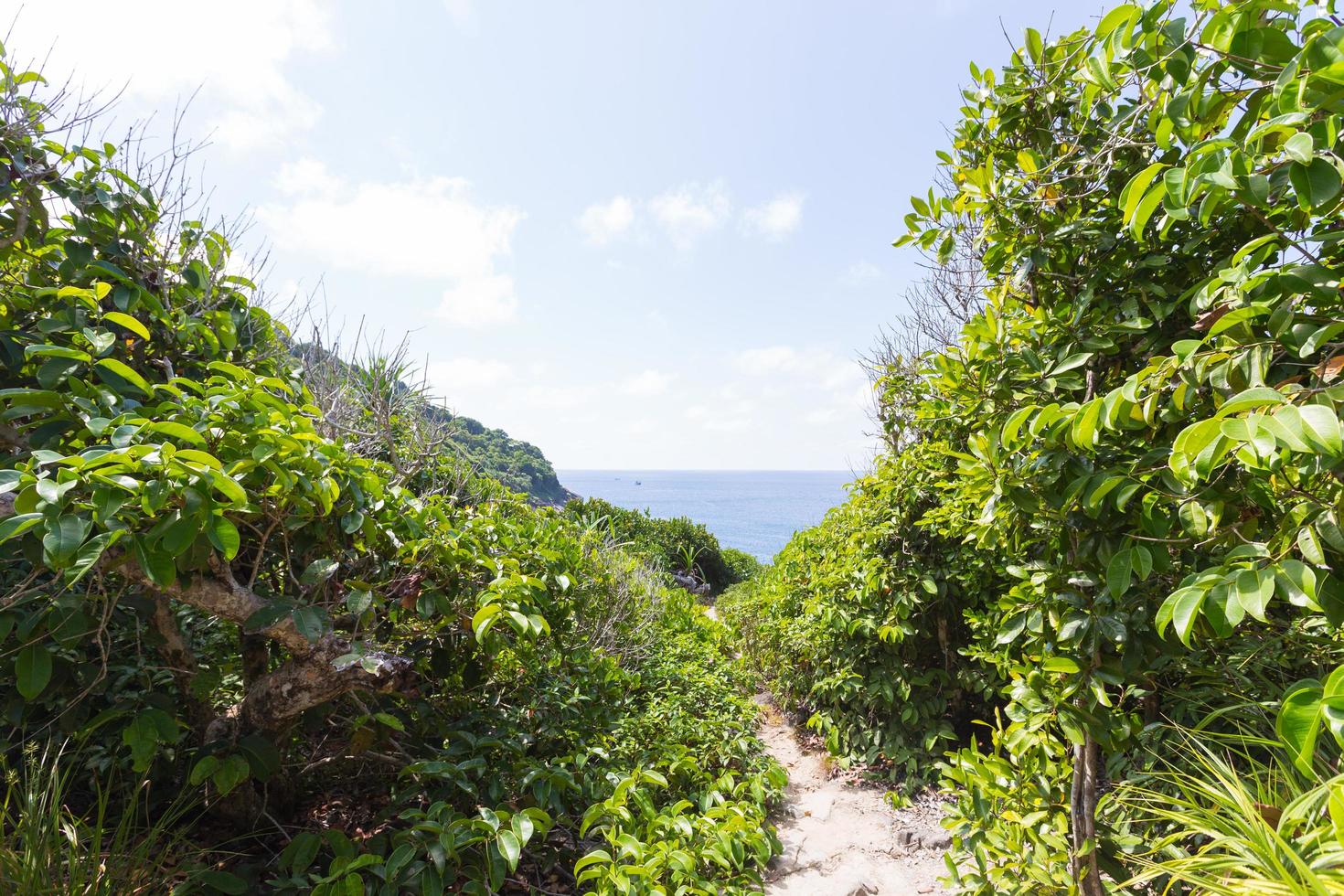 paso en una pequeña isla hasta el mirador foto