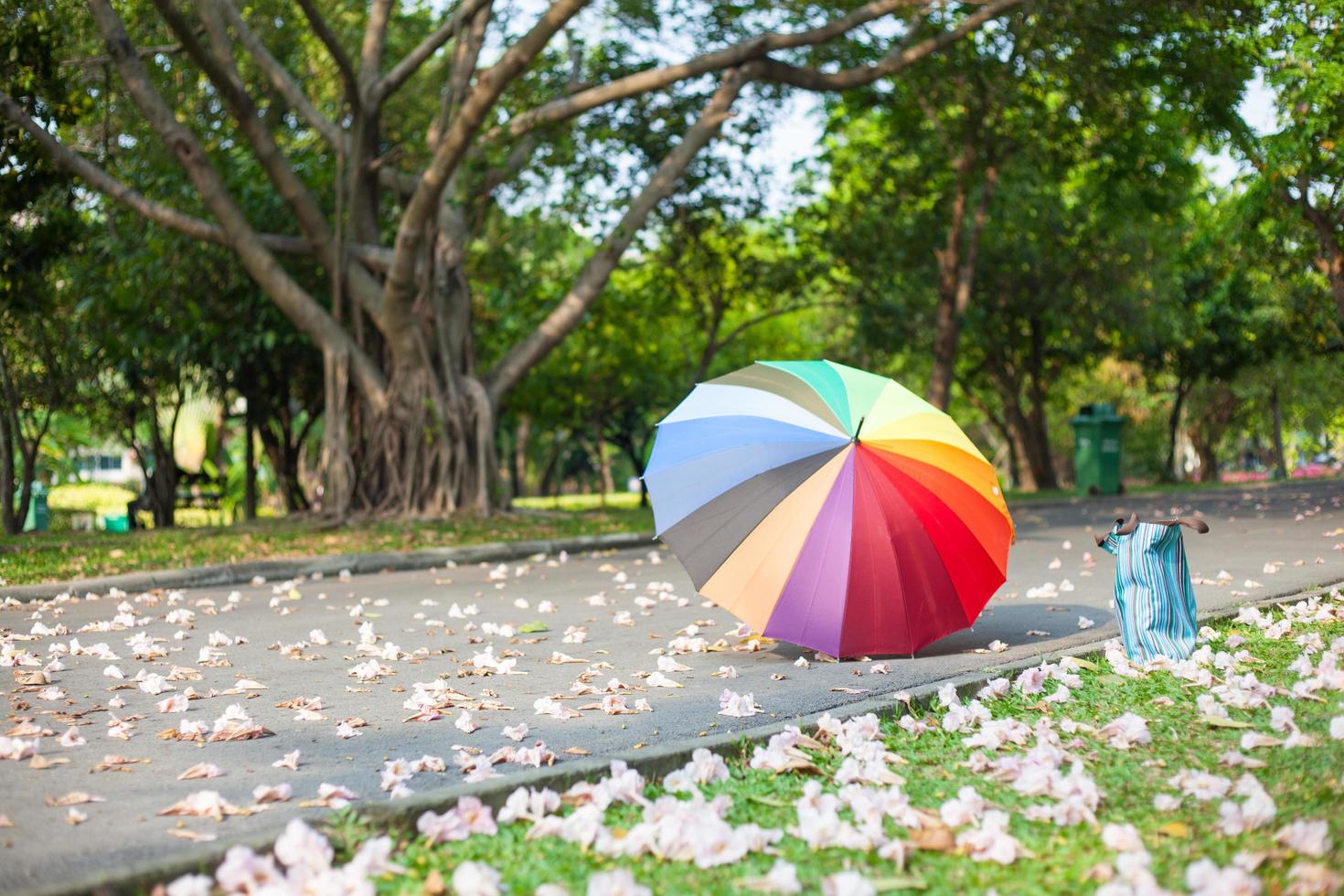 paraguas en el parque foto