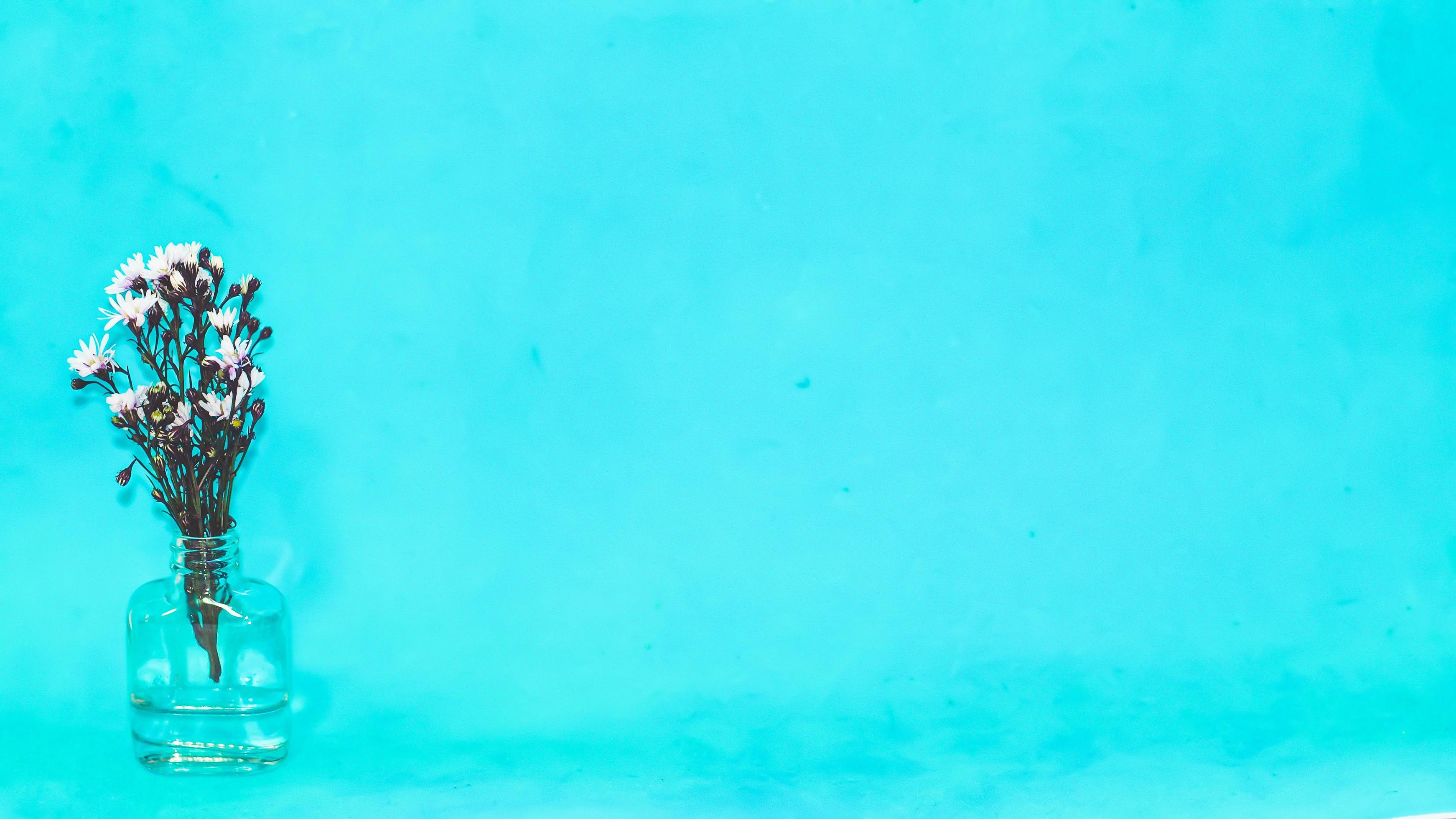 Flowers in a vase on blue background 1961518 Stock Photo at Vecteezy