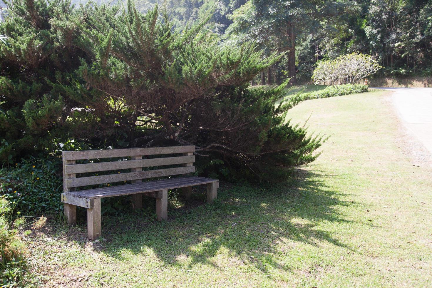 Bench under a bush photo