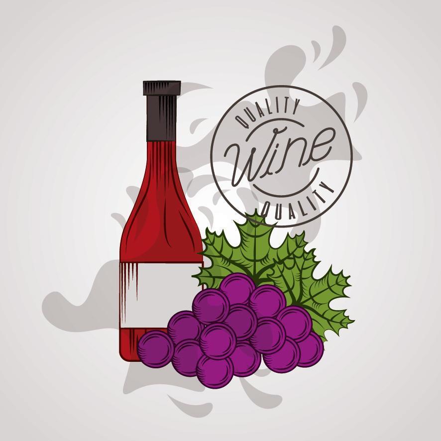 cartel de la casa del vino con botella y uvas vector