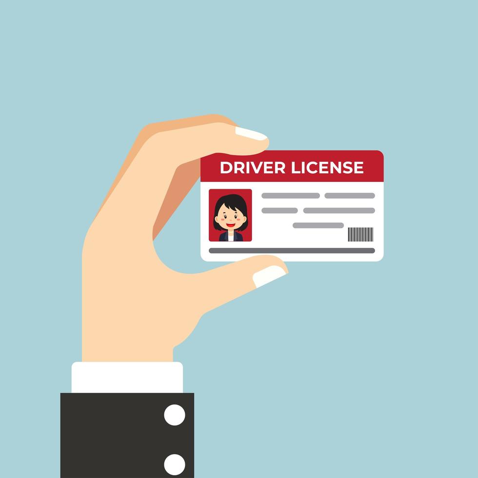 Stock Vector Hand Hold Driver License