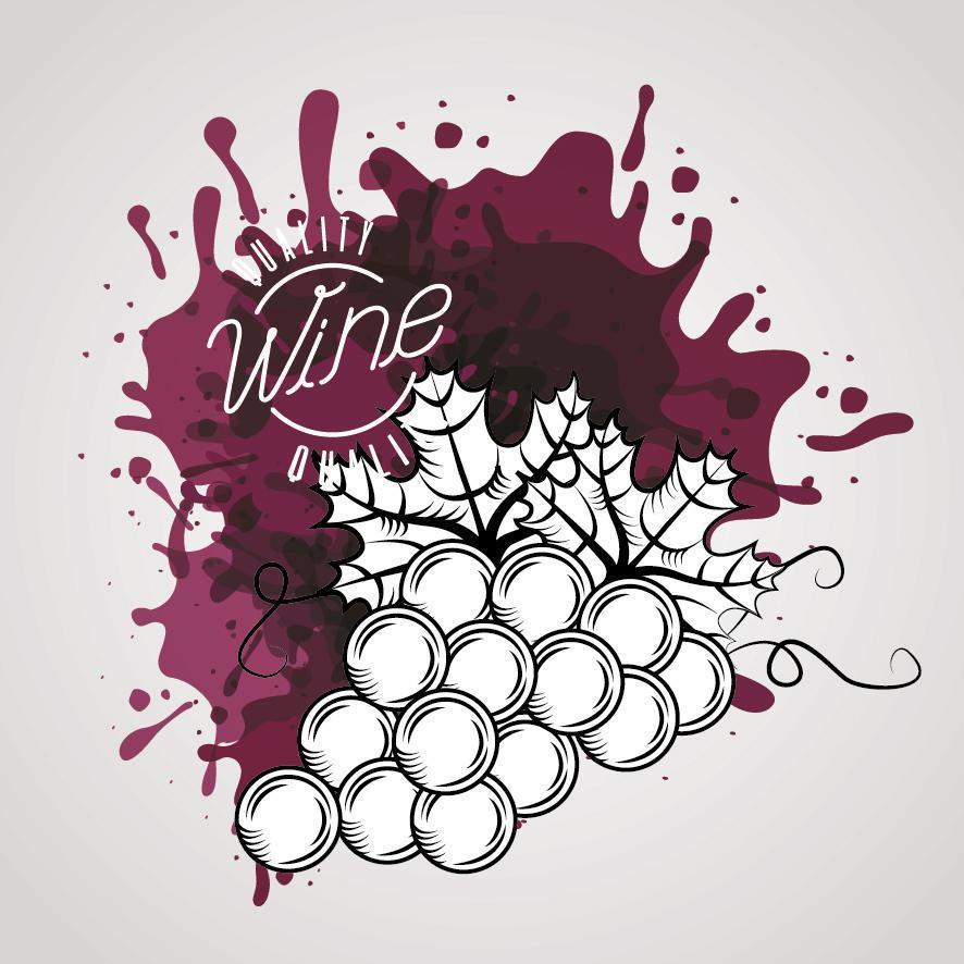 diseño de vino con uvas vector