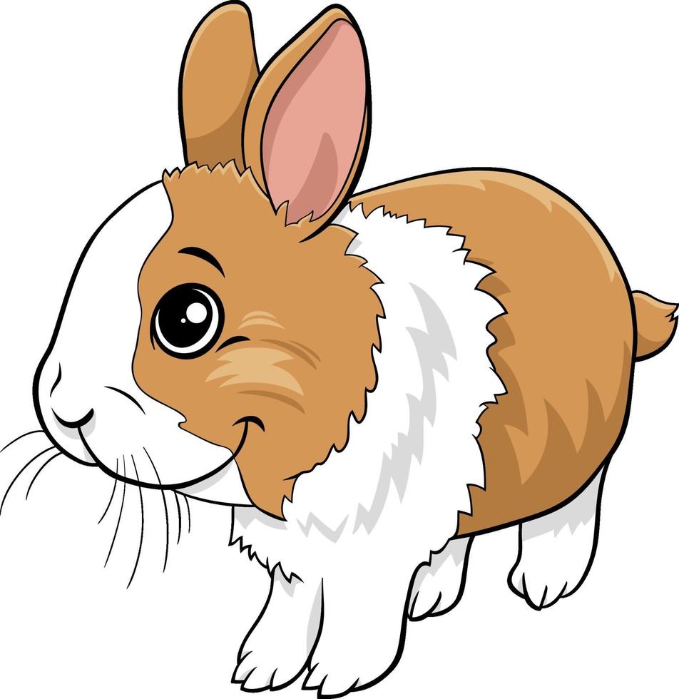 cartoon dwarf rabbit comic animal character vector