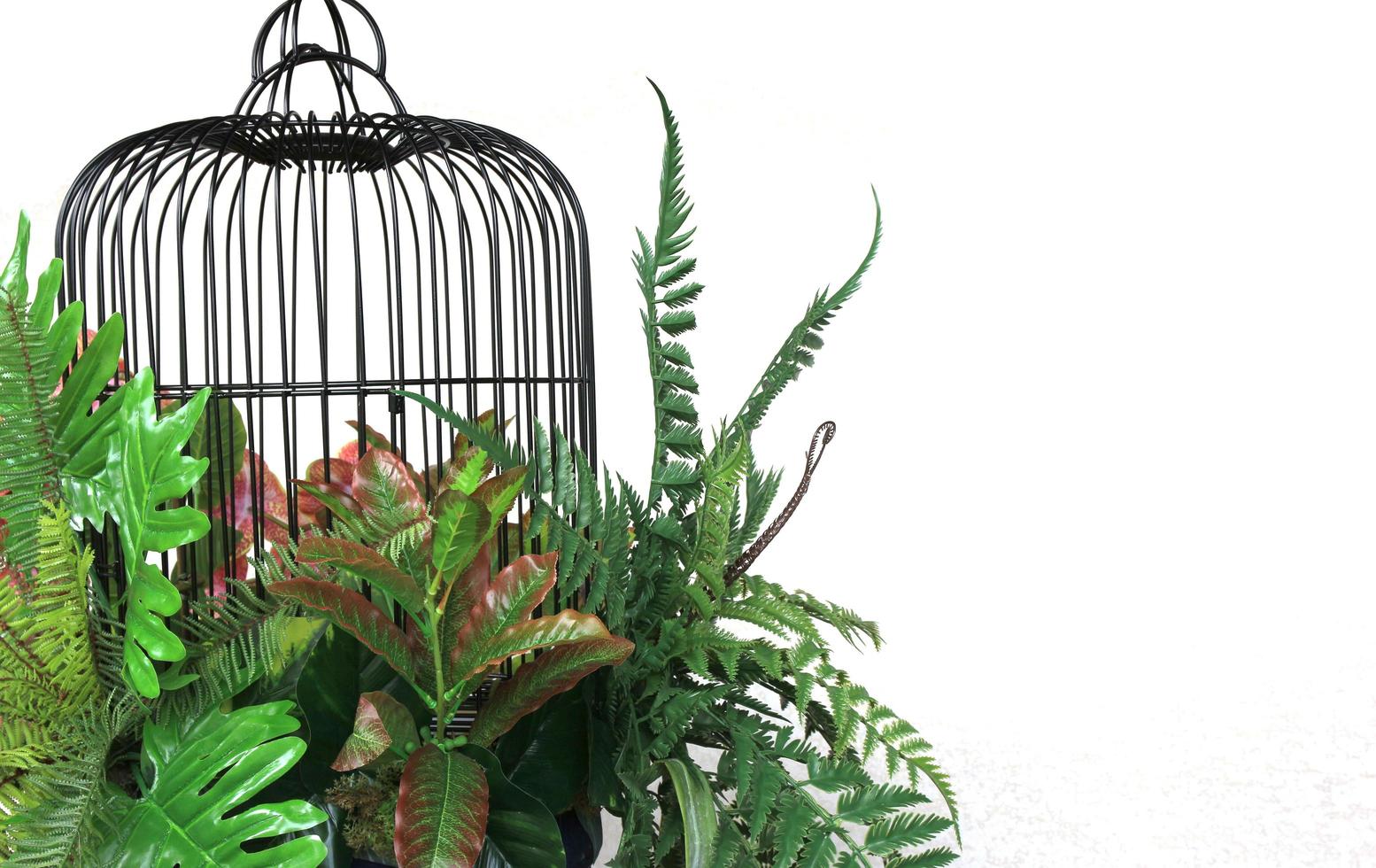 Birdcage and plants photo