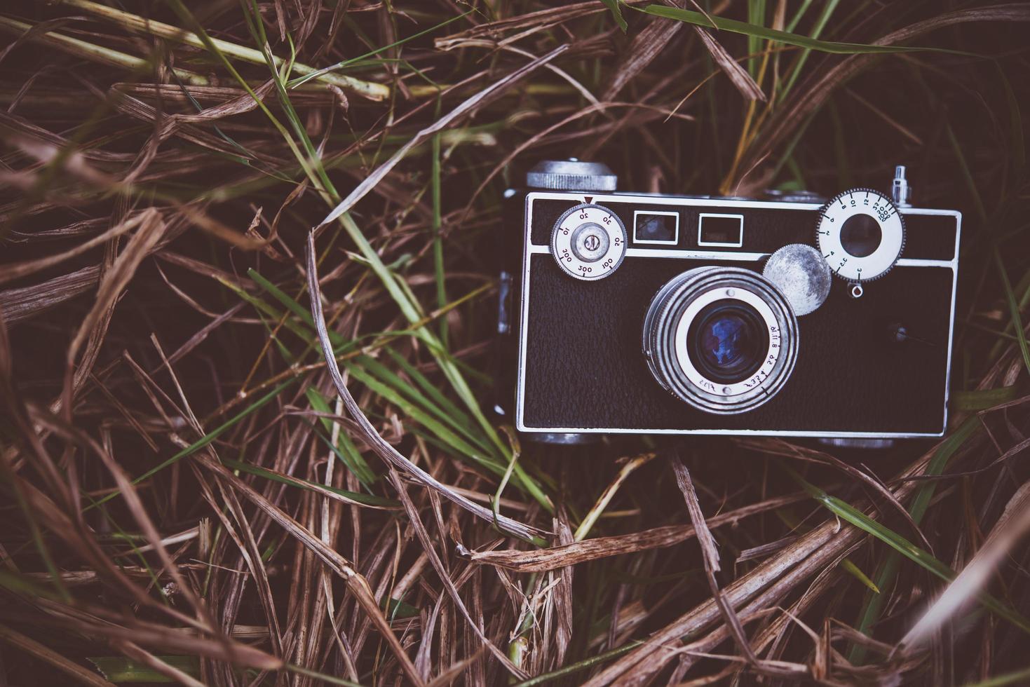 Old vintage camera in a grass field photo