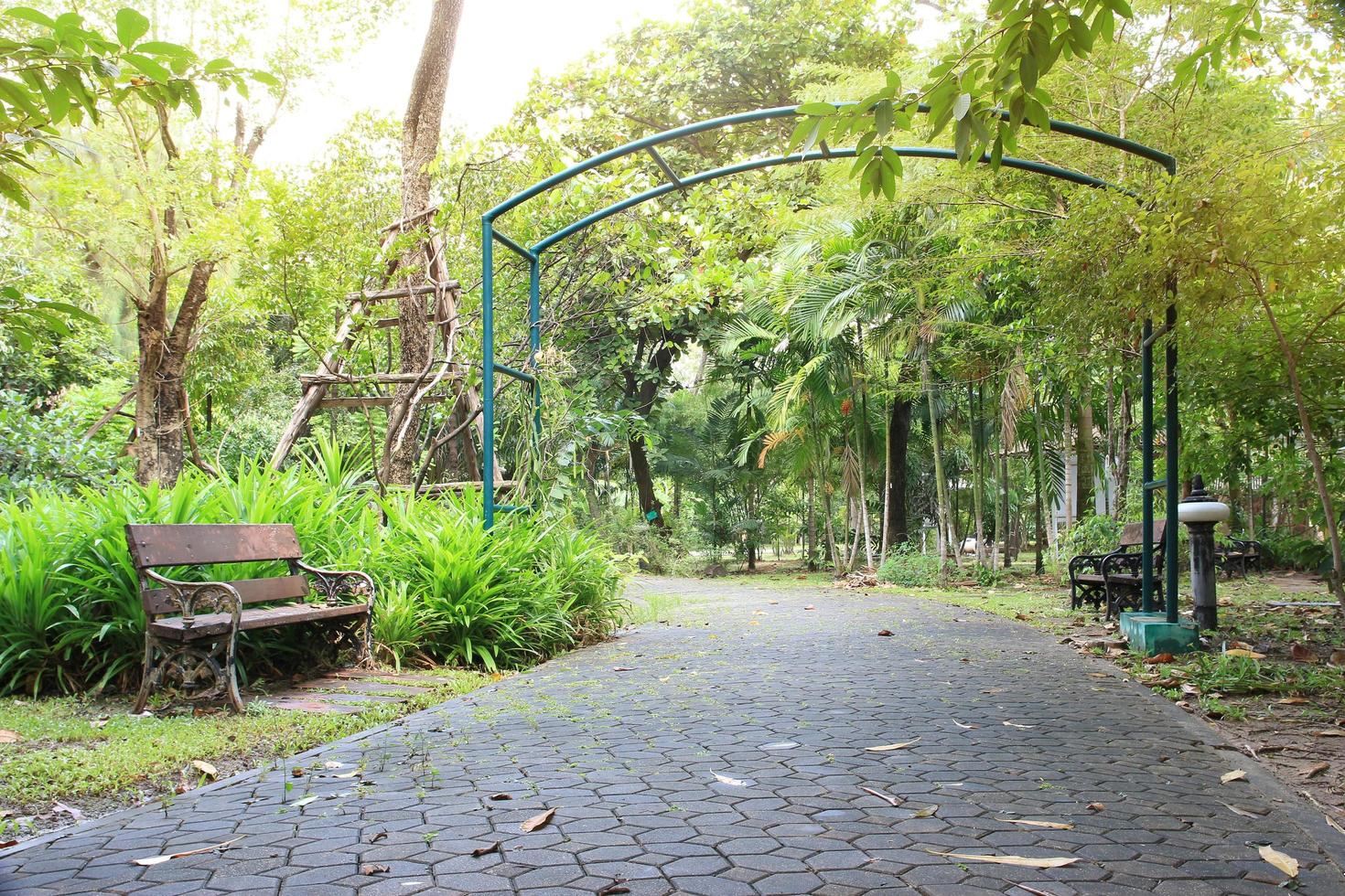 Arch in garden photo