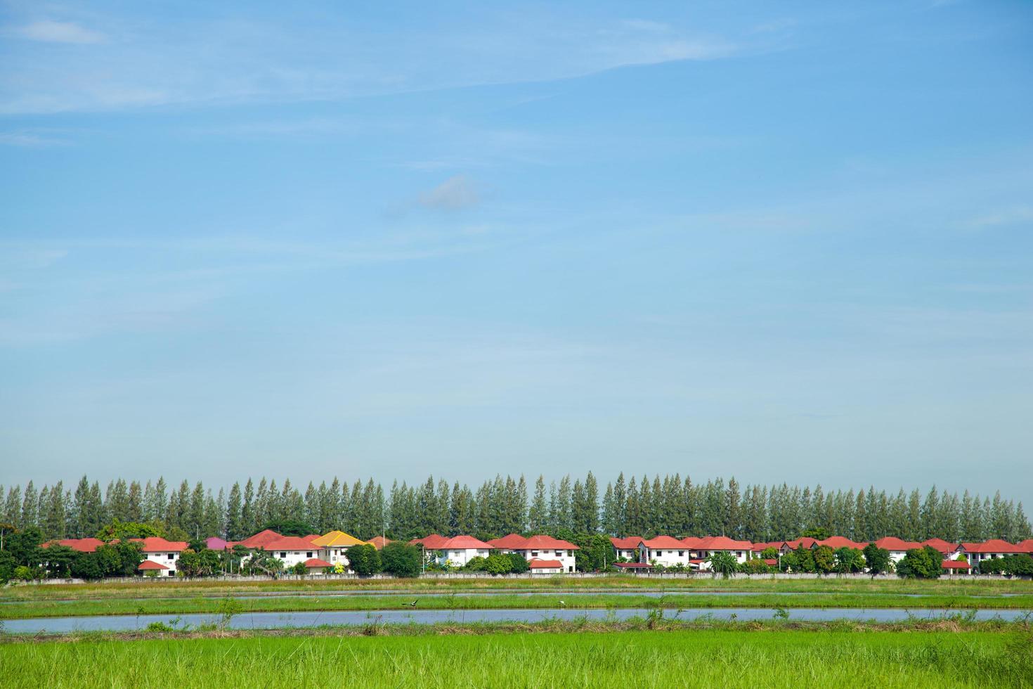 Village on the countryside photo