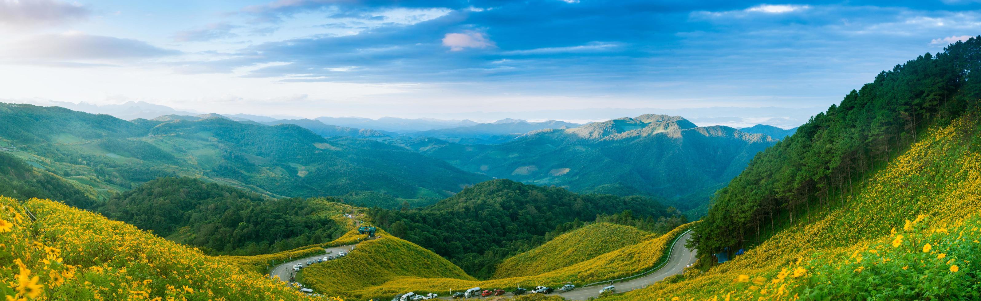 Flower field on the mountain photo