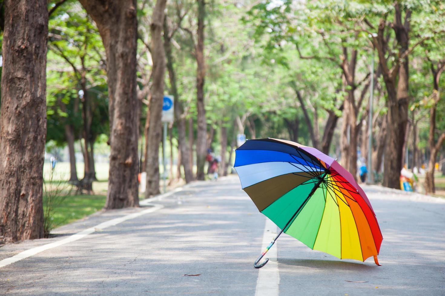 Multicolored umbrella in the park photo