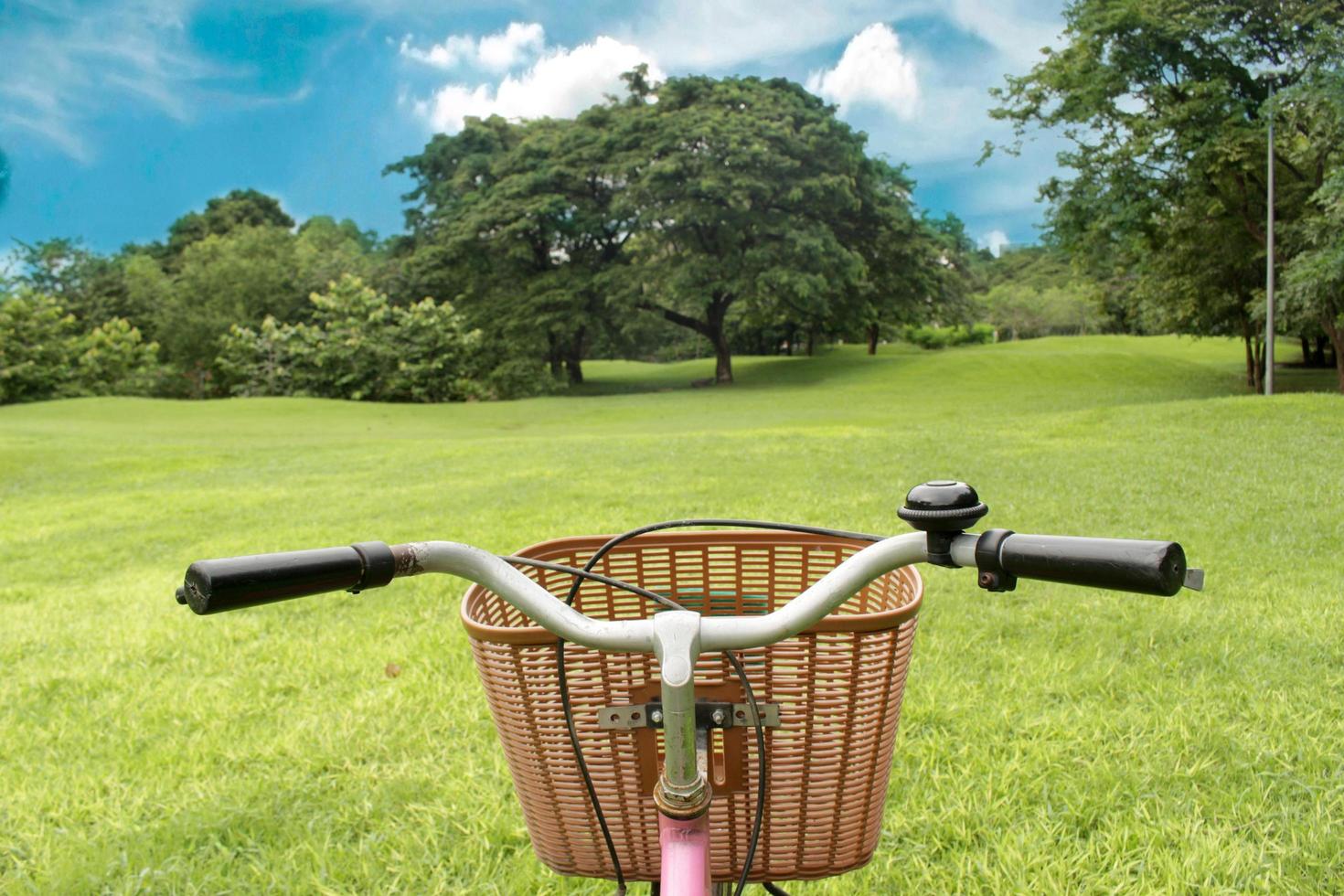 Bicycle in a park photo