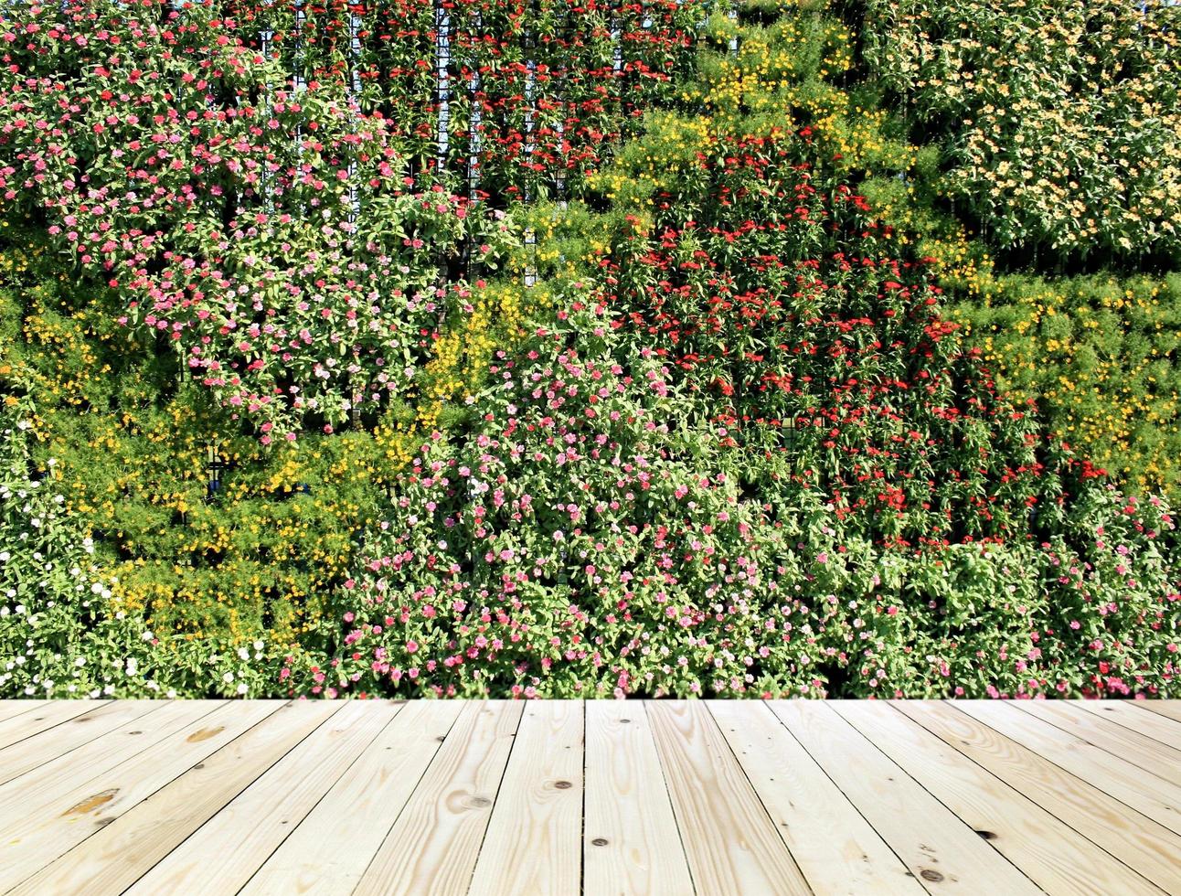 Flower wall and wood floor photo