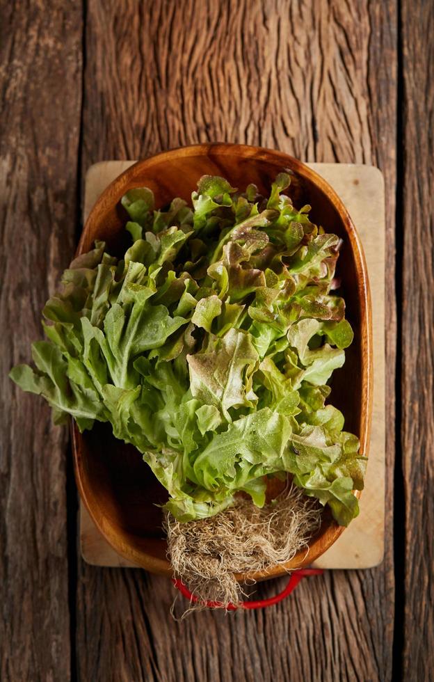 Lettuce in bowl photo