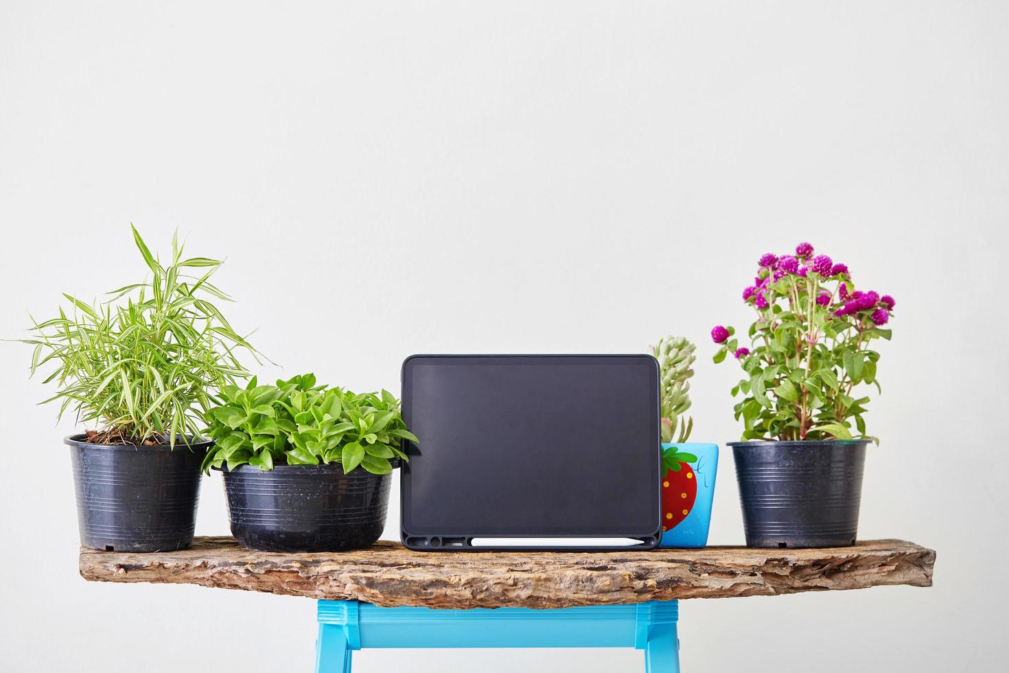 Tablet mock-up with plants photo