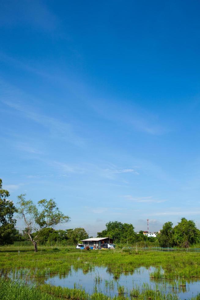 casa de campo en un prado en tailandia foto