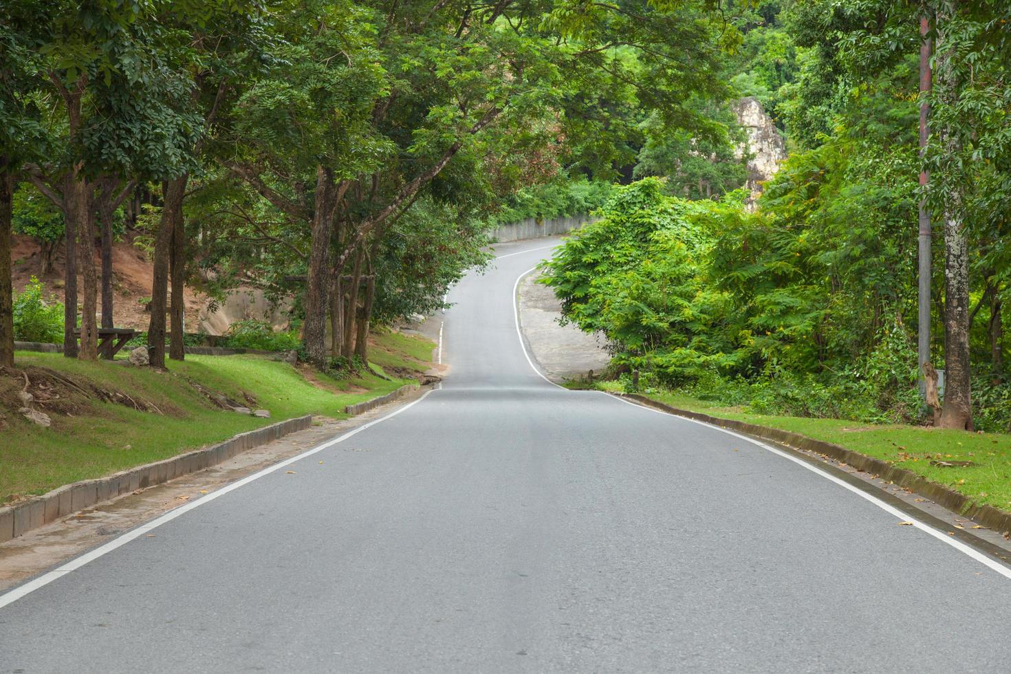 Road on the countryside photo