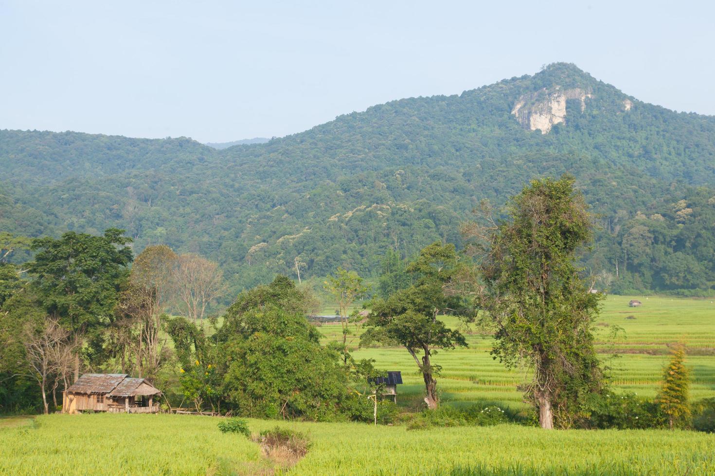 casa en el campo en tailandia foto