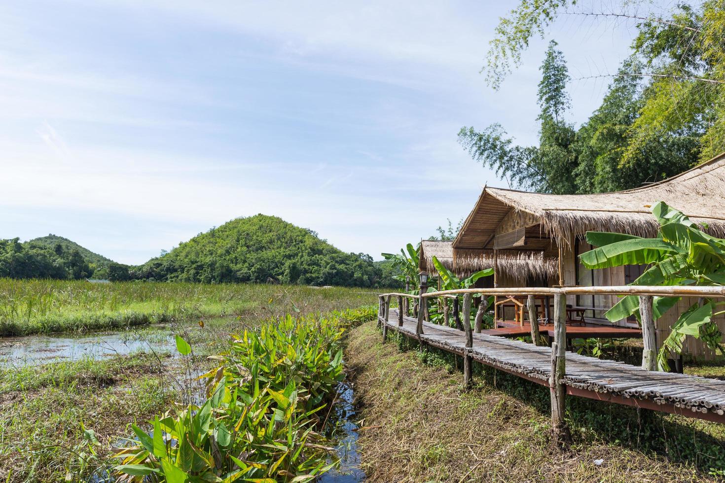 Camino de madera en el pantano en Tailandia foto