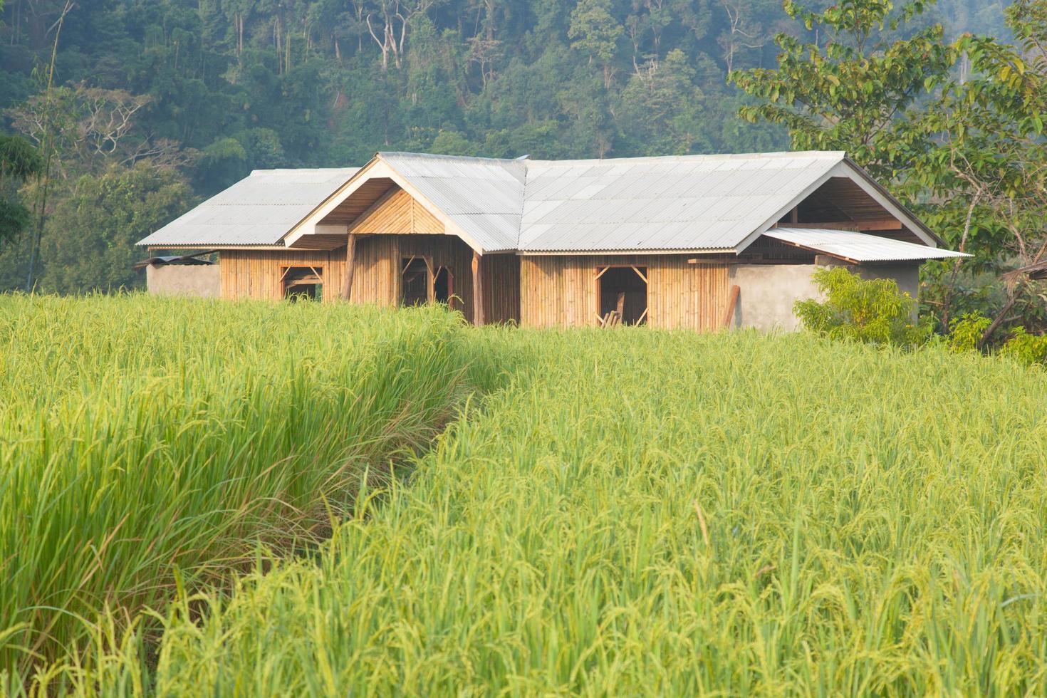 casa en el campo en tailandia foto