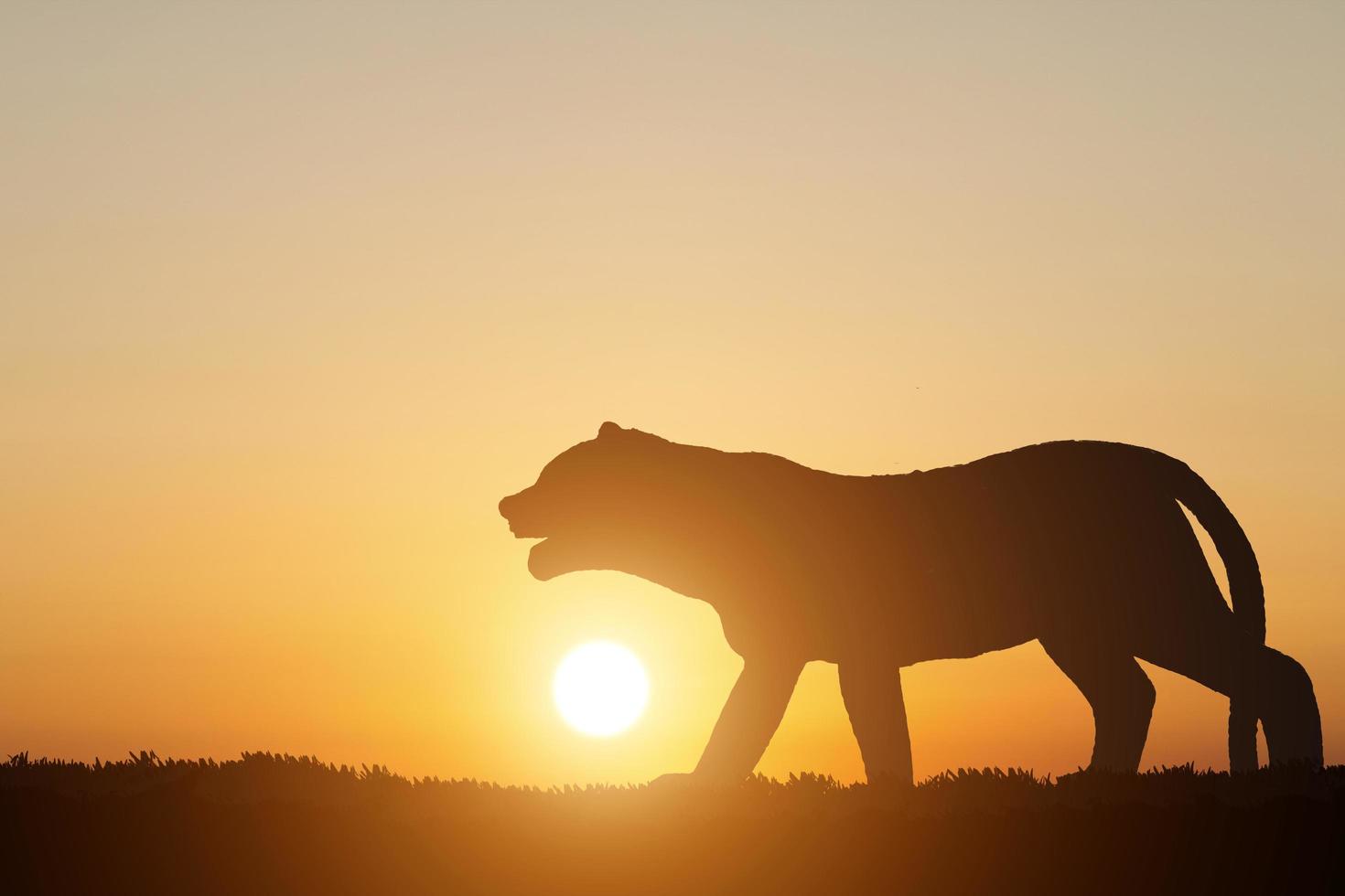 silhouette tiger on sunset background photo