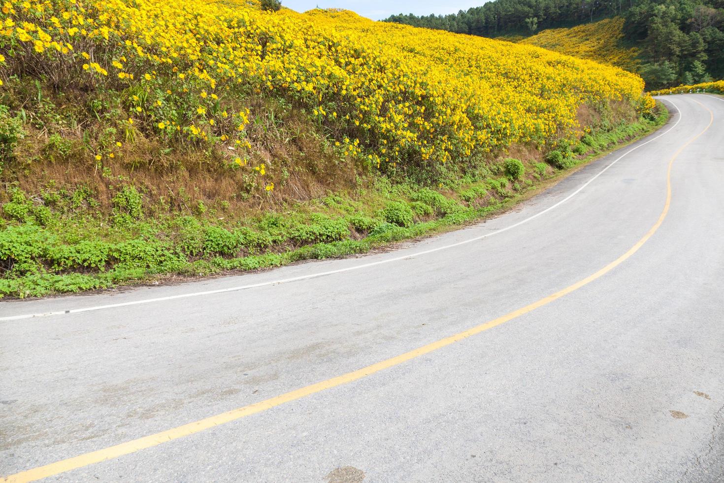 Curve road on a mountain in Thailand photo