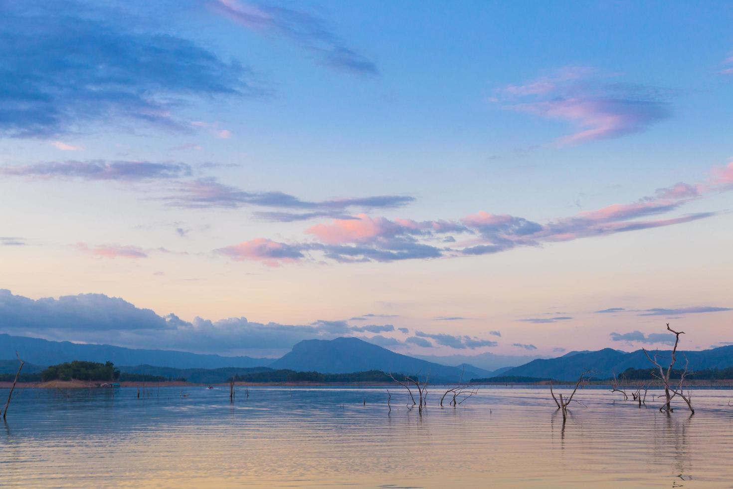 árboles muertos en un embalse foto