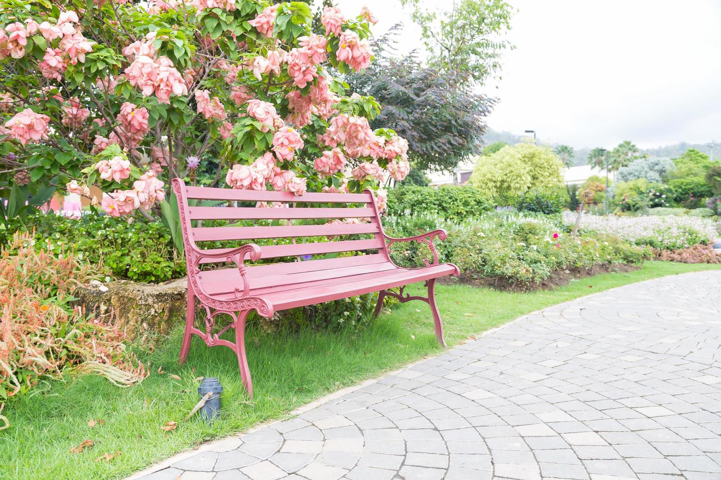 Pink bench in the park photo