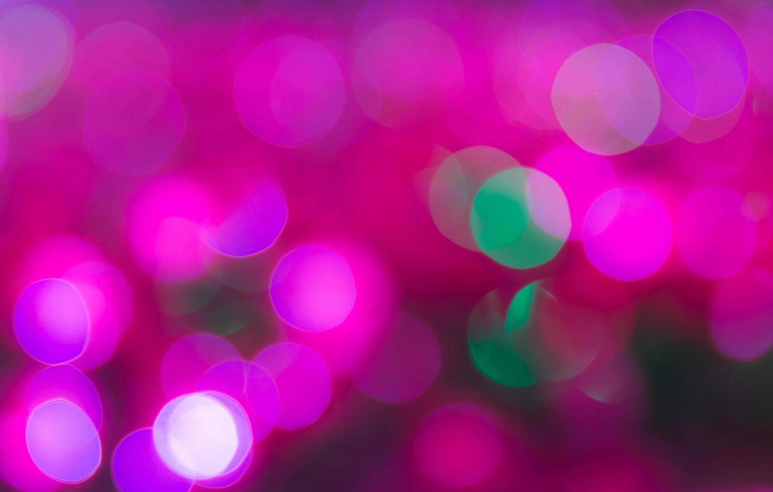 fondo rosa bokeh foto