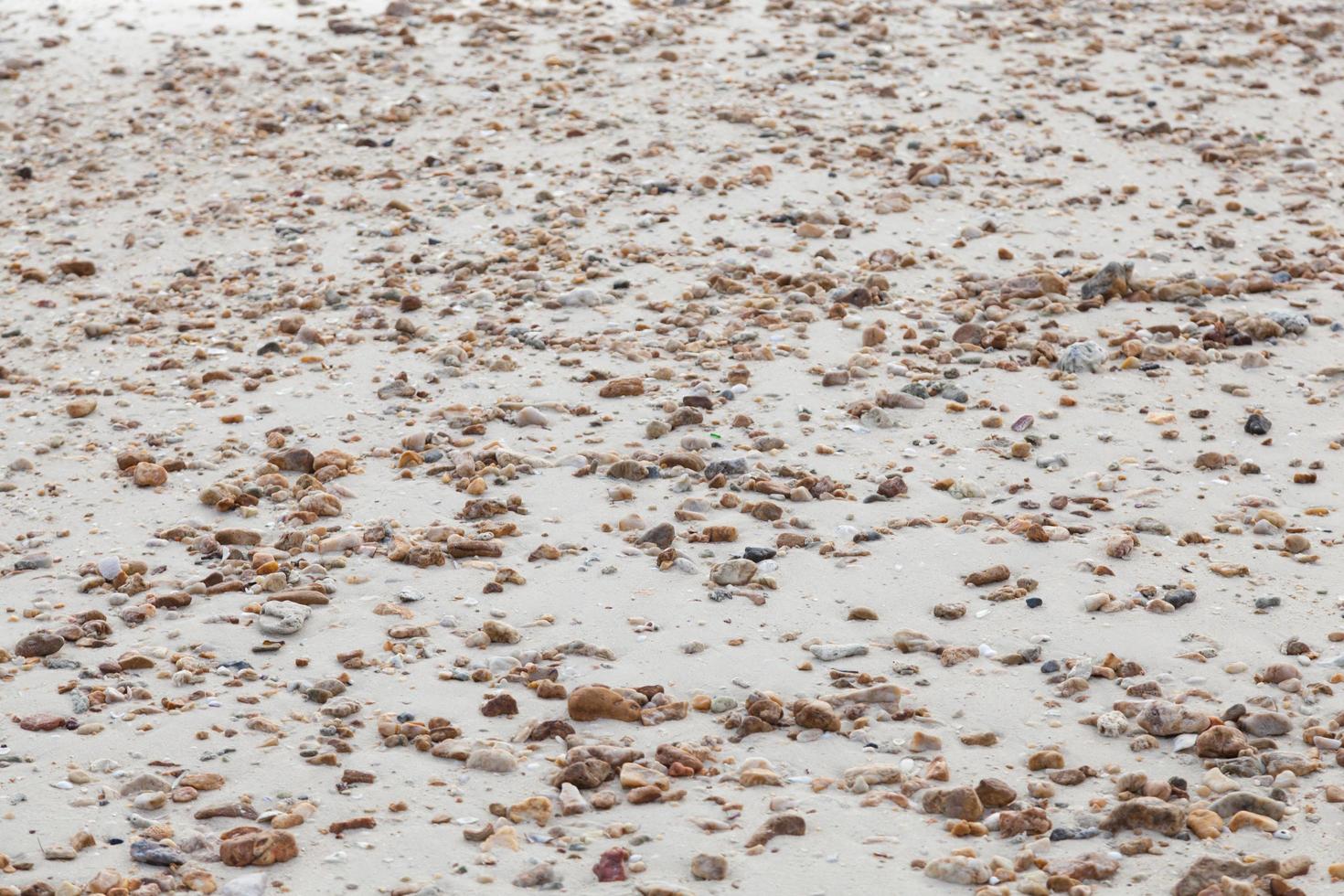 pequeñas piedras en la arena foto